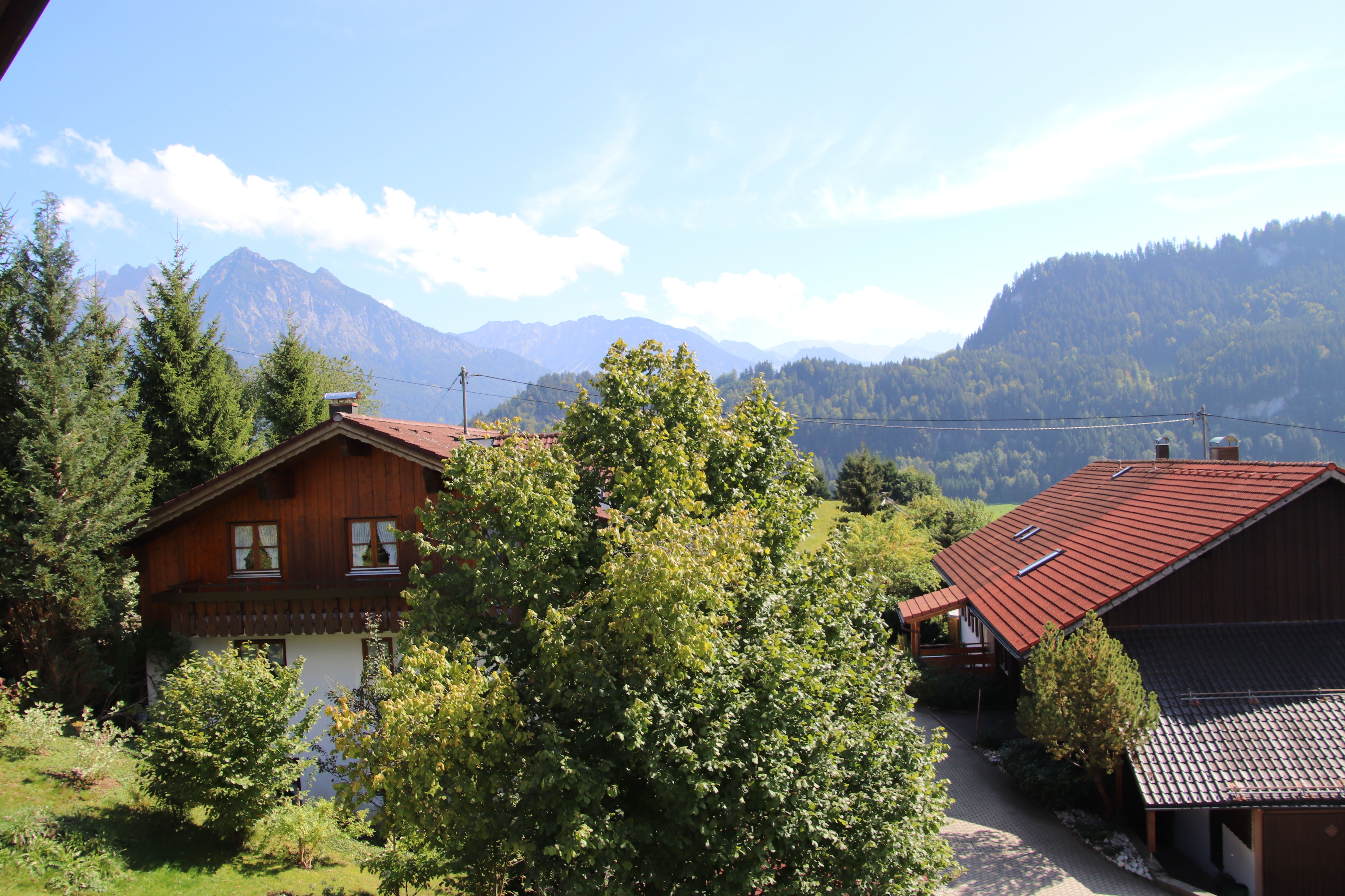 blick-vom-balkon-veilchen.jpg