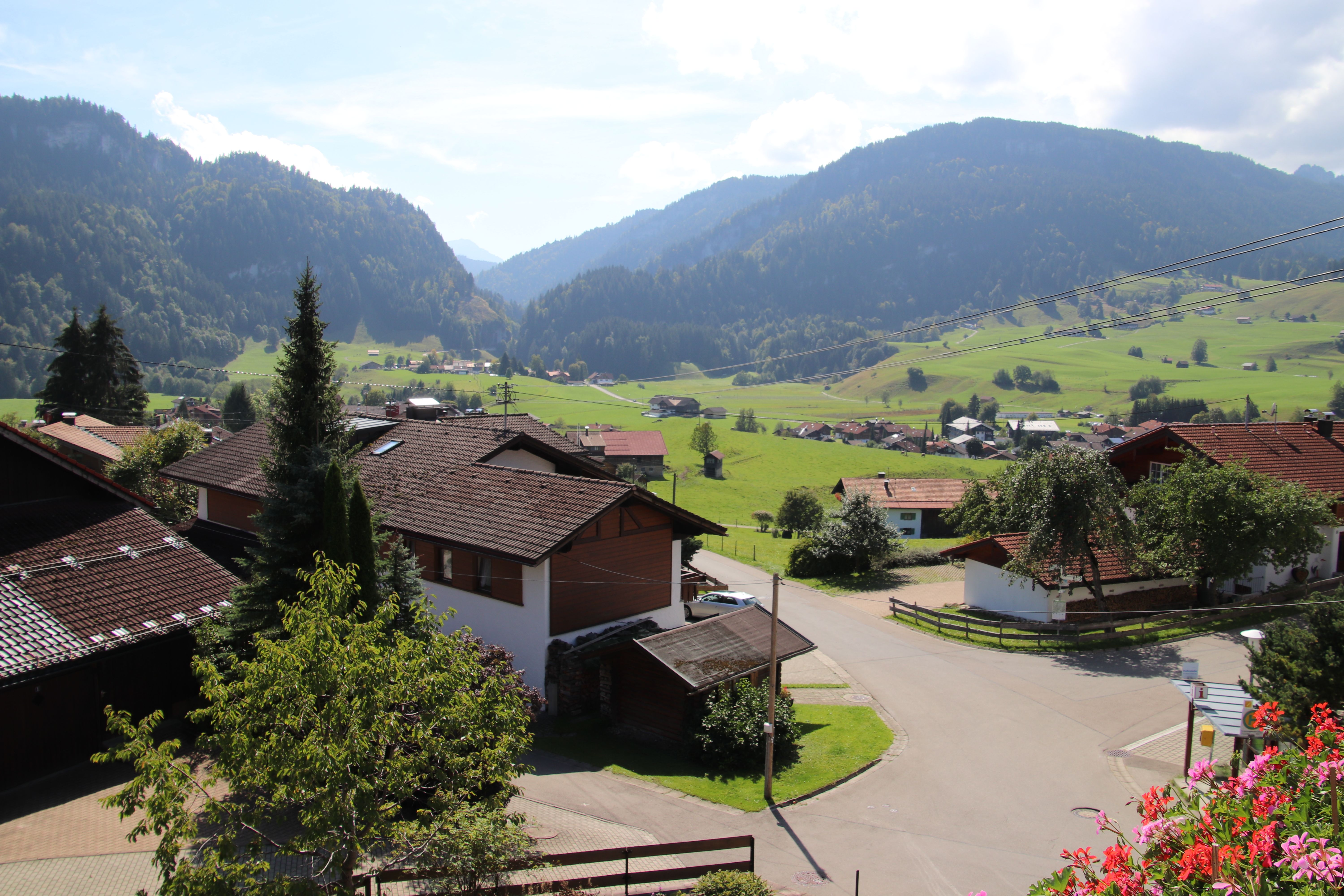 talblick-vom-balkon-veilchen.jpg