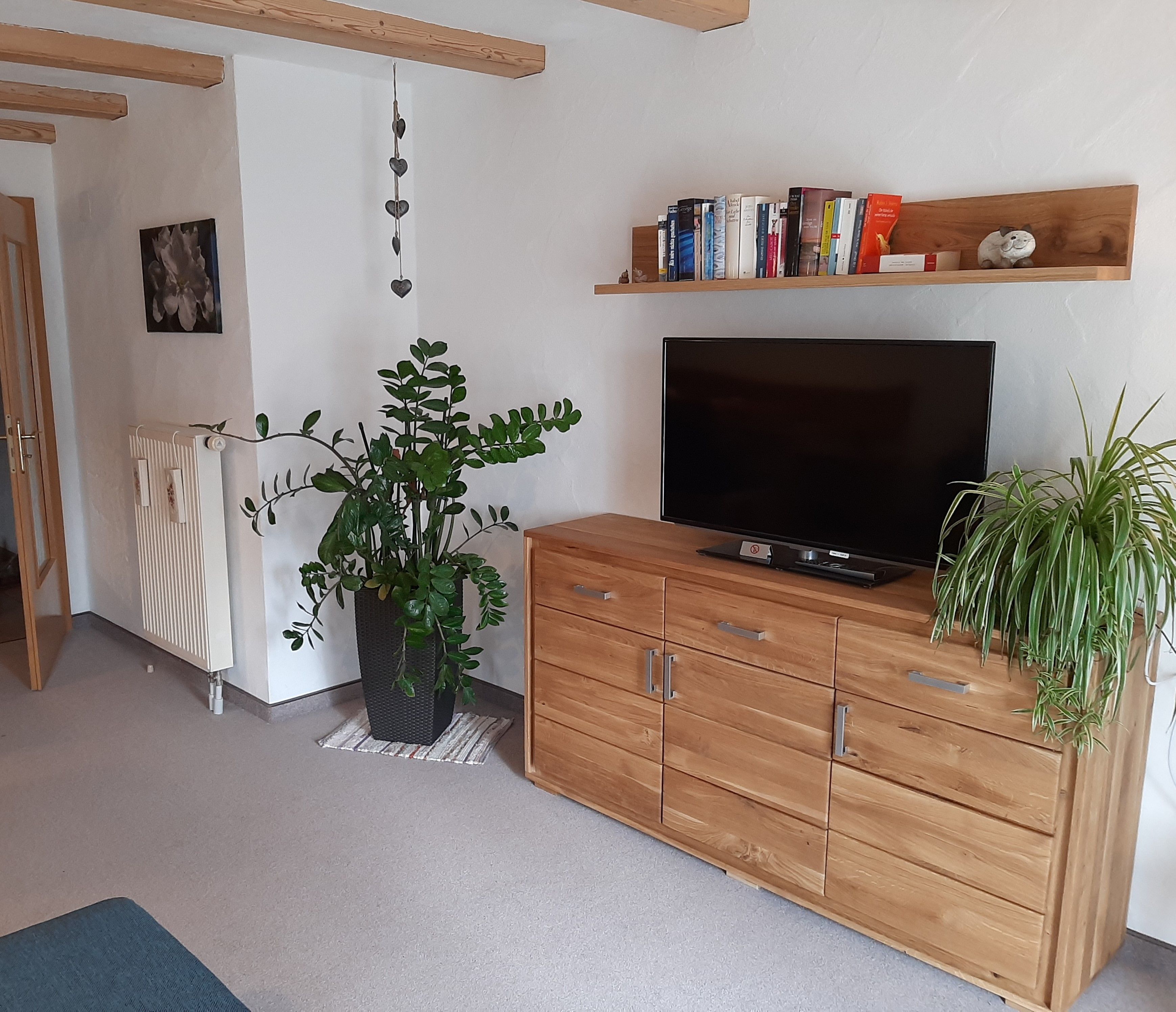 Wohnraum mit TV Flachbildschirm
