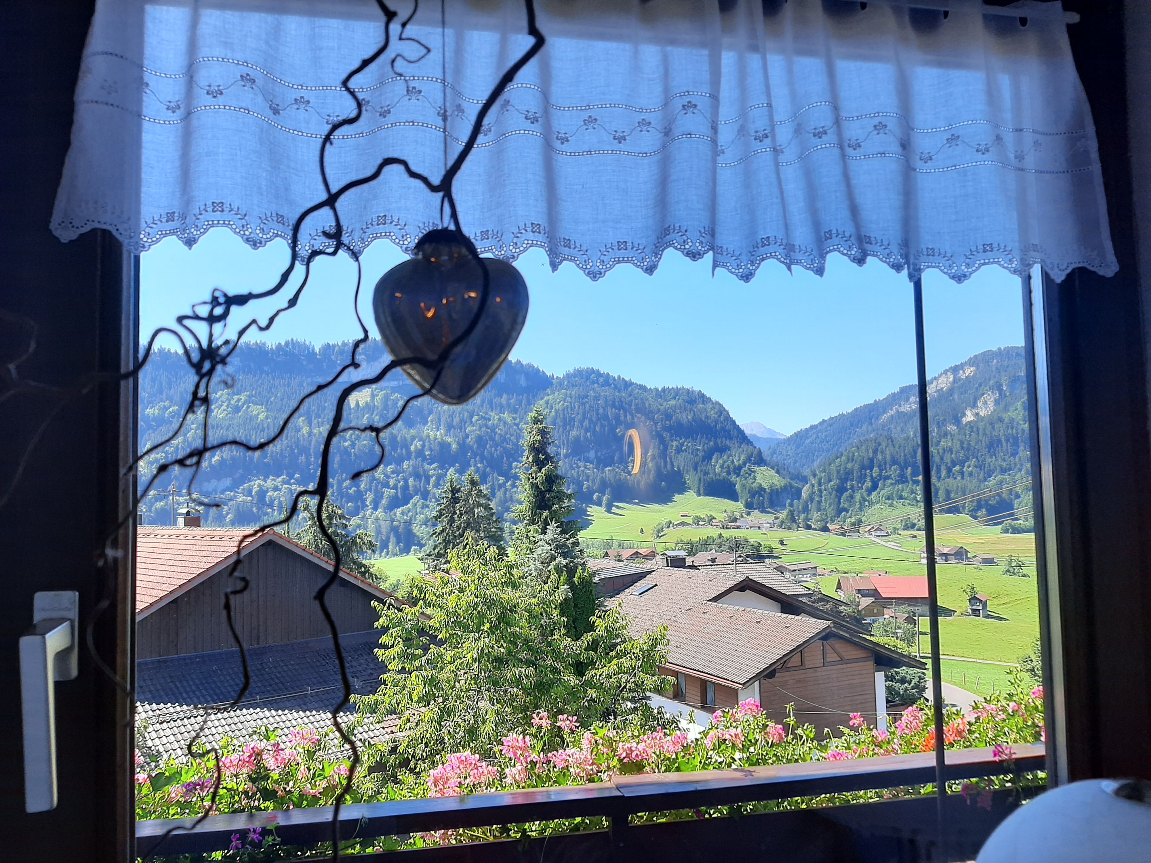 Blick aus dem Fenster vom Essplatz aus
